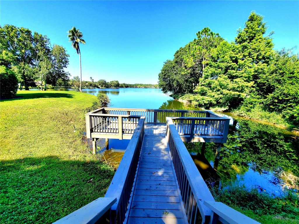 10004 Tree Tops Lake Road Tampa, FL 33626 - Photo 70 of 74 Gallery Image 70