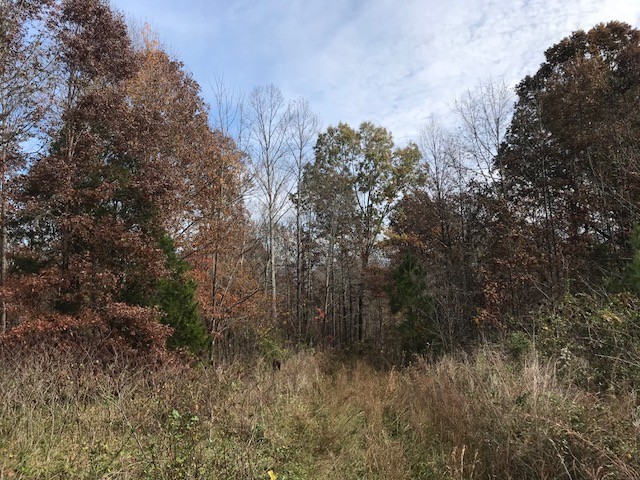 1973 Mill Dam Road Pikeville, TN 37367 - Photo 1 of 3
