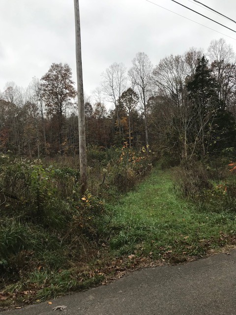 1973 Mill Dam Road Pikeville, TN 37367 - Photo 3 of 3