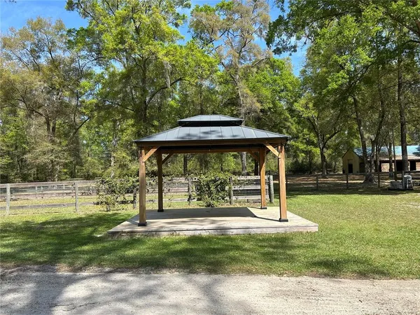 a view of a garden with a bench