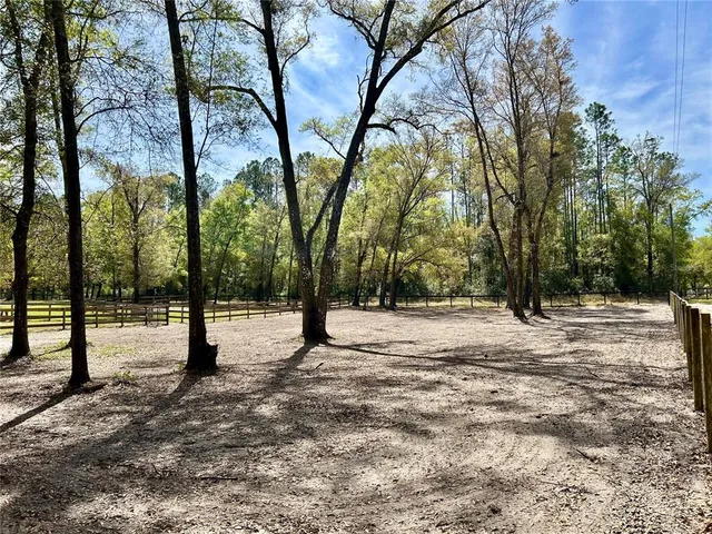 a view of empty space with trees