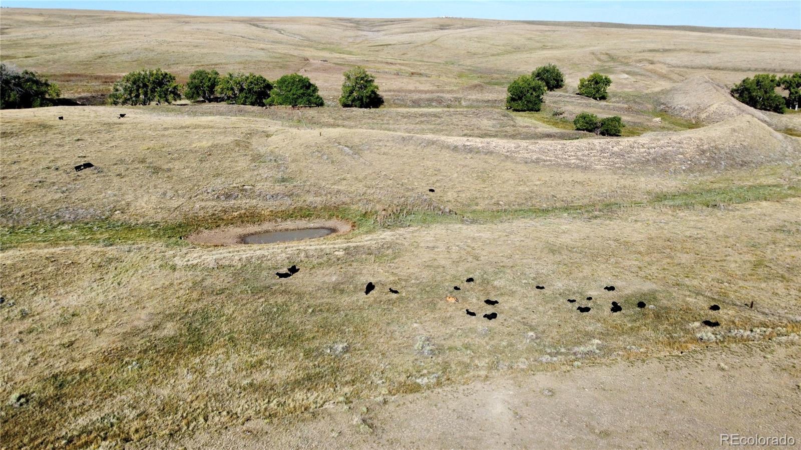 109 County Road Deer Trail, CO 80105 - Photo 3 of 10