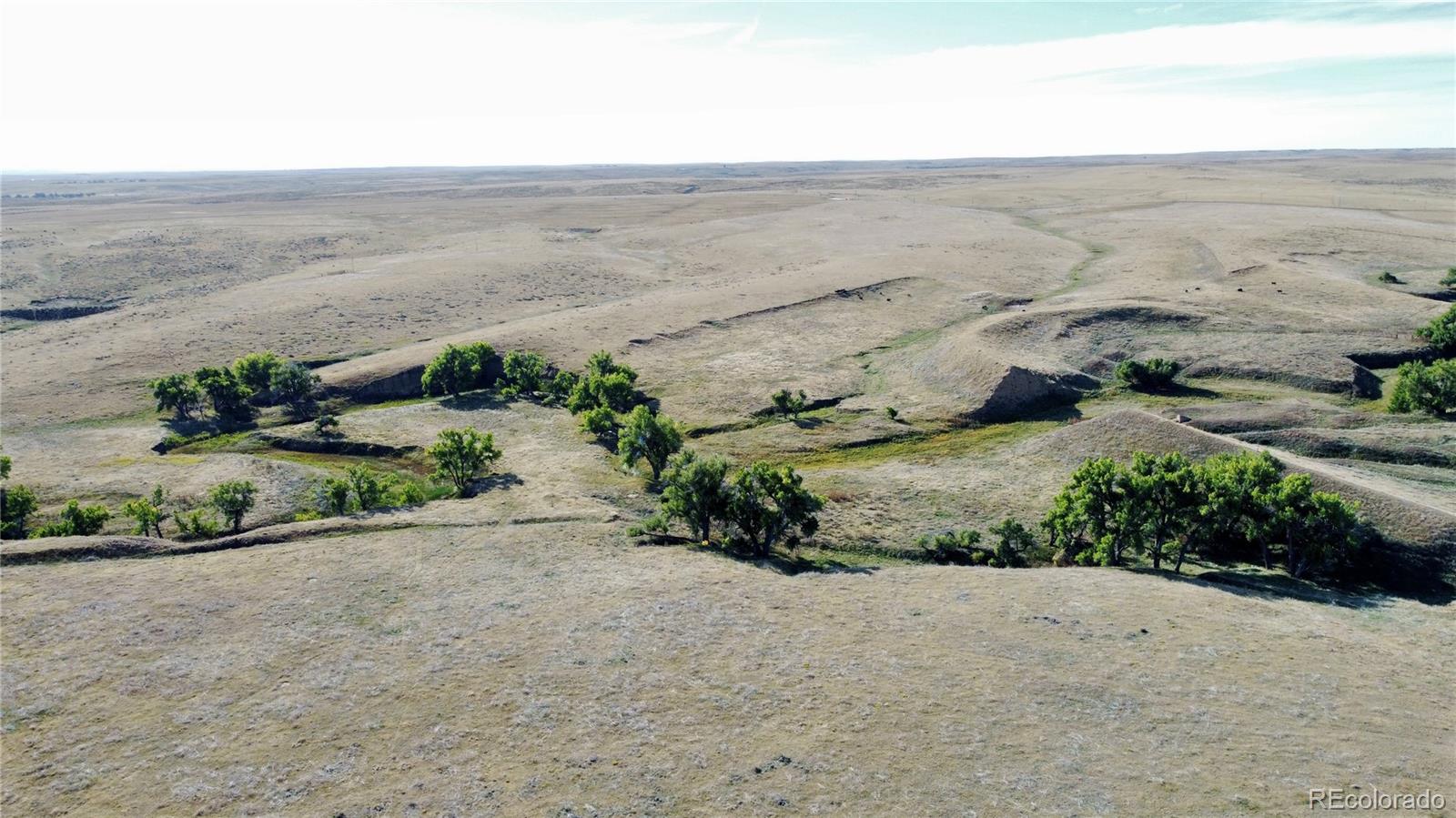 109 County Road Deer Trail, CO 80105 - Photo 5 of 10