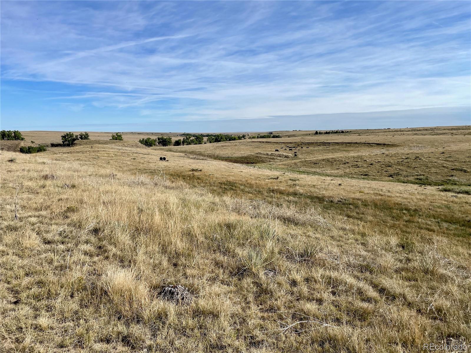 109 County Road Deer Trail, CO 80105 - Photo 10 of 10