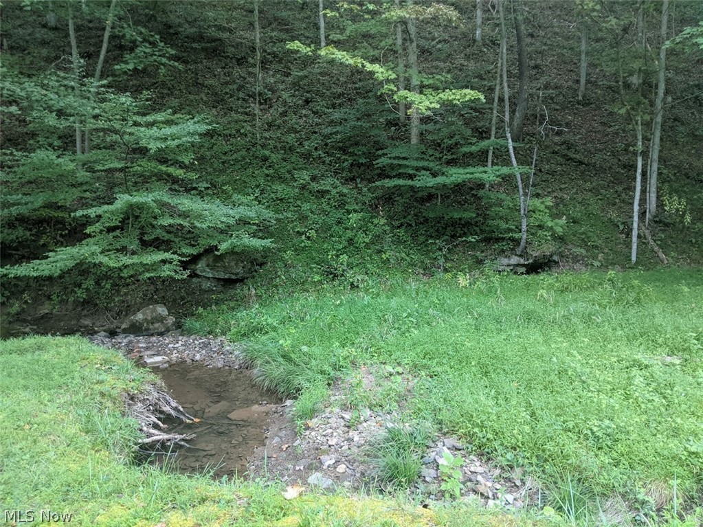 756 Johnson Fork Road Salem, WV 26426 - Photo 3 of 10