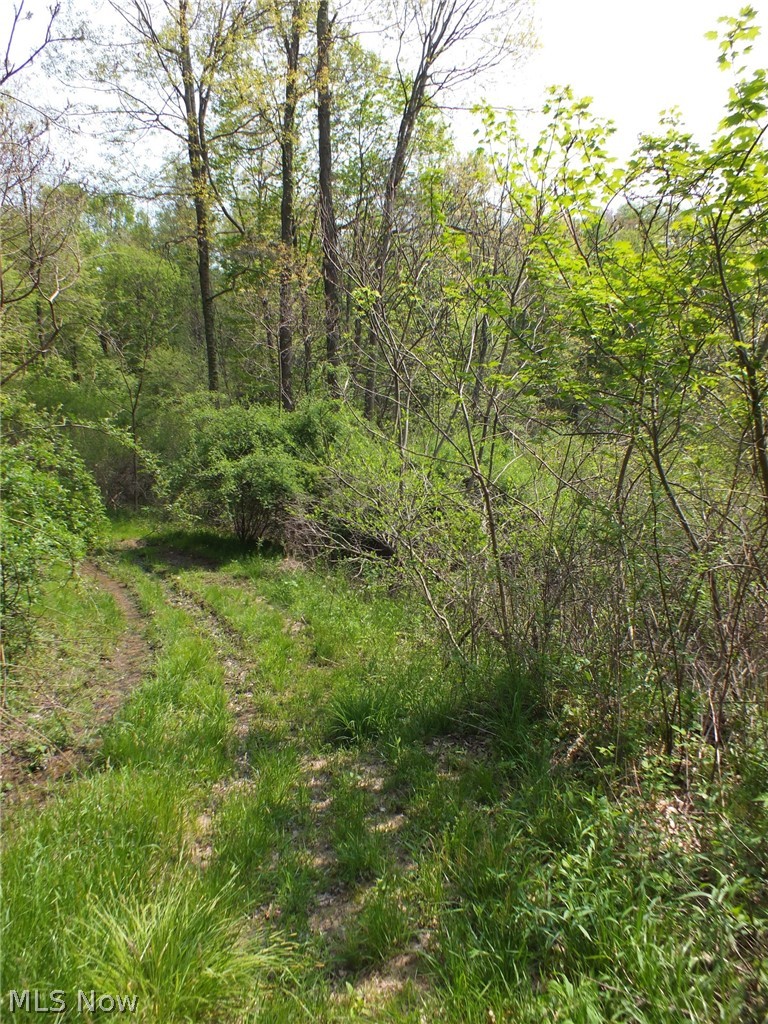 Brocade Road Amsterdam, OH 43903 - Photo 15 of 26 Gallery Image 15