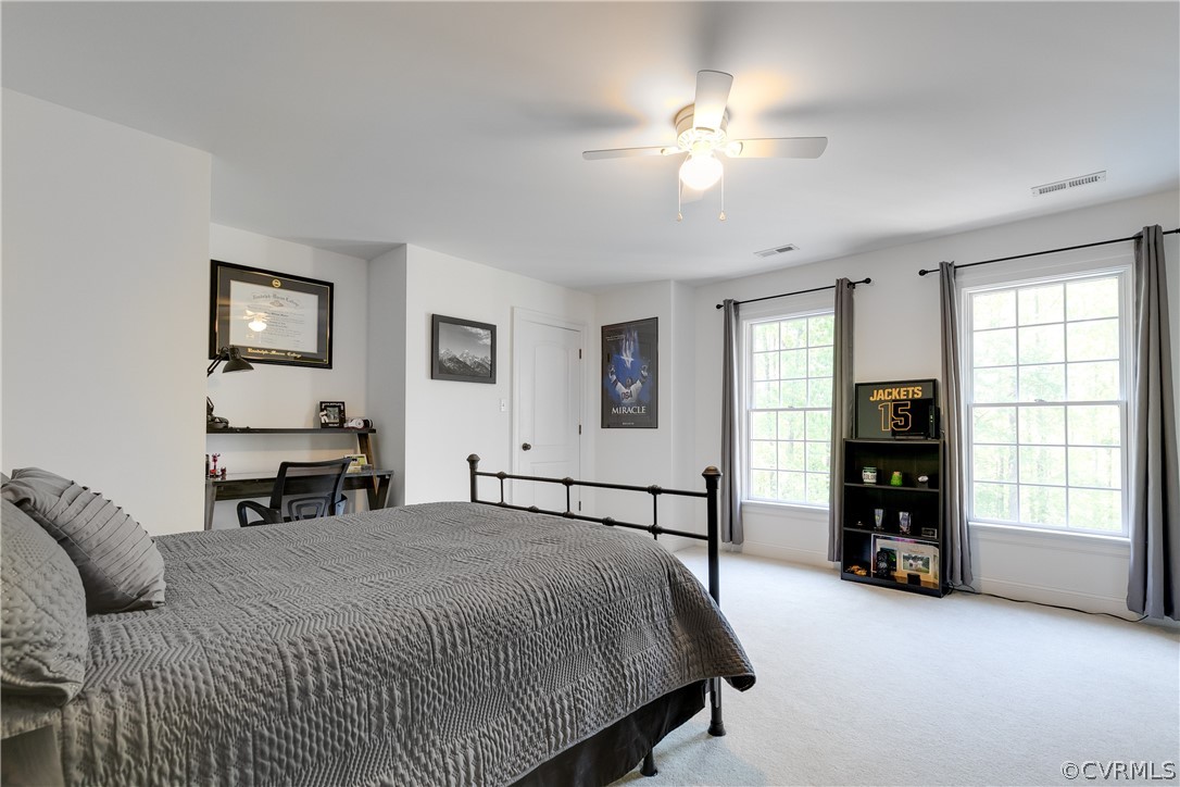 14641 West Salisbury Road Midlothian, VA 23113 - Photo 29 of 50 a bedroom with a bed and a tv