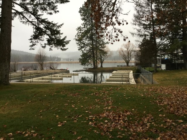 40521 Lakeside Road Loon Lake, WA 99148 - Photo 16 of 19 Gallery Image 16