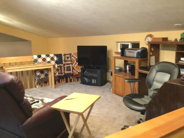 40521 Lakeside Road Loon Lake, WA 99148 - Photo 19 of 19 Gallery Image 19