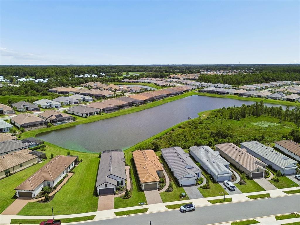 4618 Rosatti Road Wesley Chapel, FL 33543 - Photo 76 of 100 Gallery Image 76