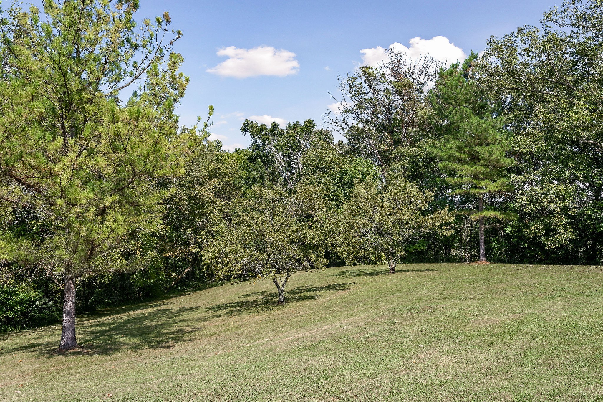 1738 Oakley Road Liberty, TN 37095 - Photo 59 of 70 Gallery Image 59