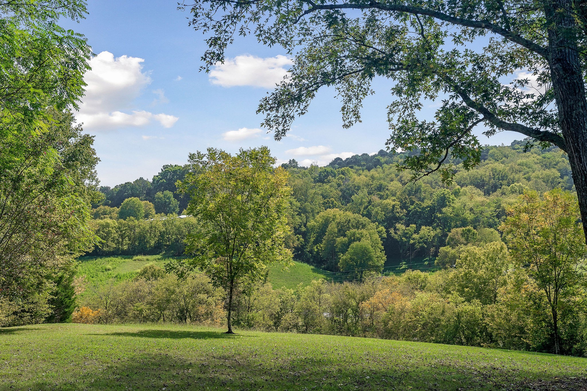 1738 Oakley Road Liberty, TN 37095 - Photo 61 of 70 Gallery Image 61