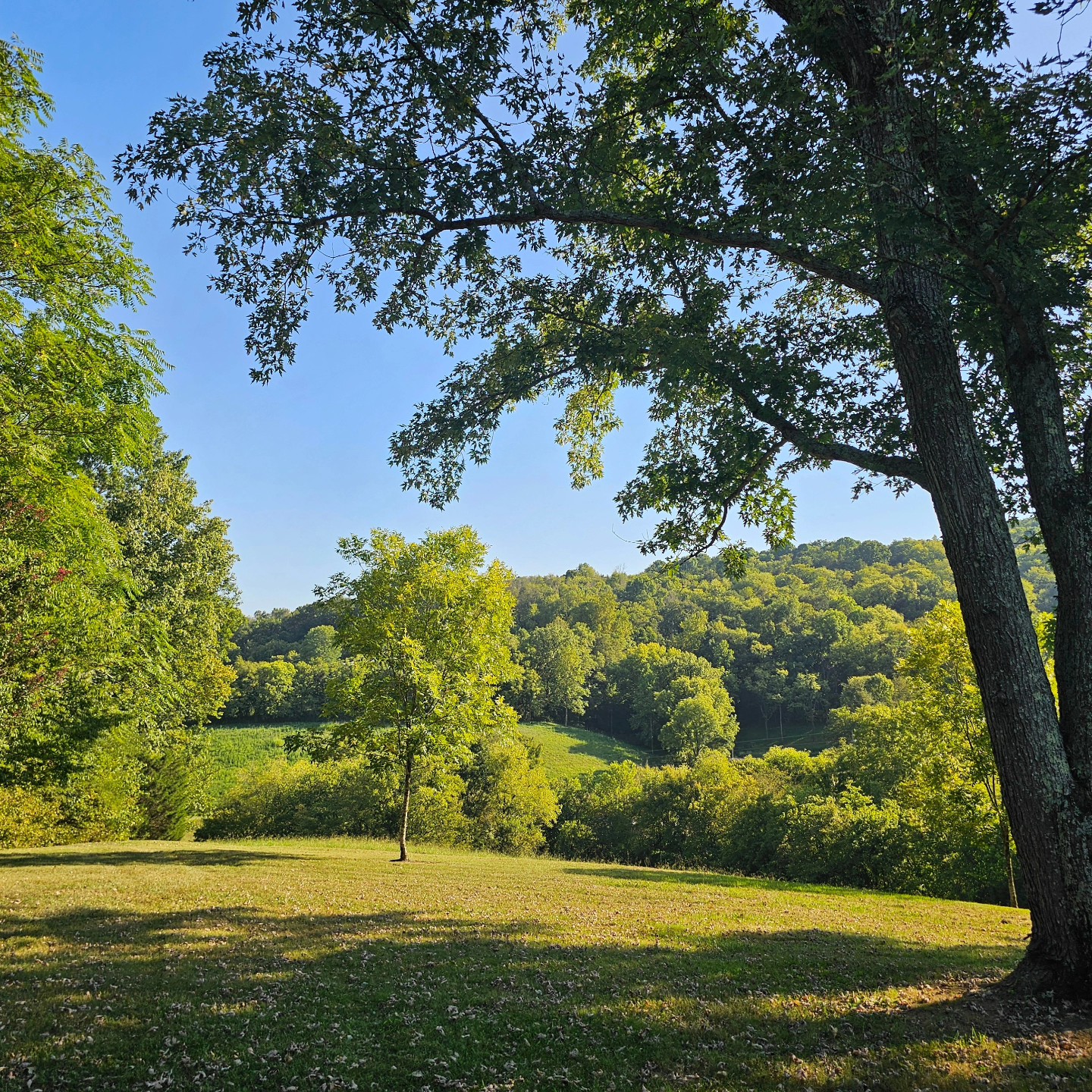 1738 Oakley Road Liberty, TN 37095 - Photo 63 of 70 Gallery Image 63