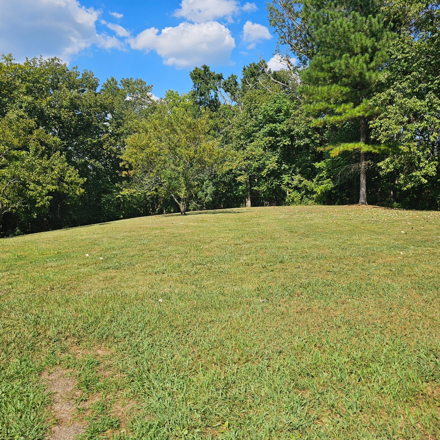 1738 Oakley Road Liberty, TN 37095 - Photo 65 of 70 Gallery Image 65