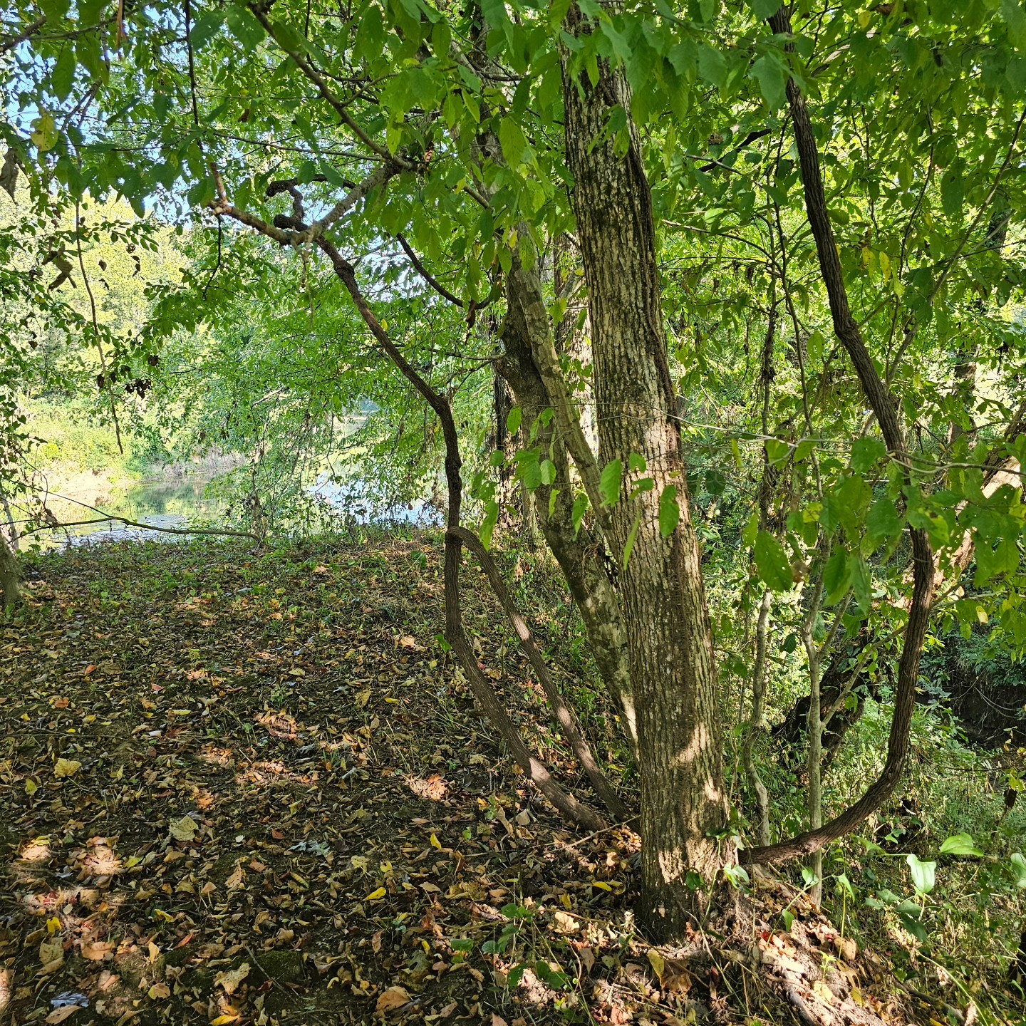 1738 Oakley Road Liberty, TN 37095 - Photo 66 of 70 Gallery Image 66