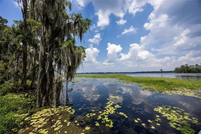 $525,000 | 21015 Northeast 115 Place, Waldo, FL 32694