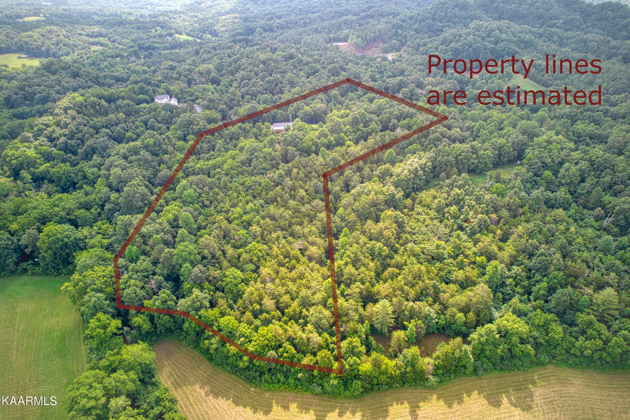 1463 A R Davis Road Seymour, TN 37865 - Photo 40 of 43