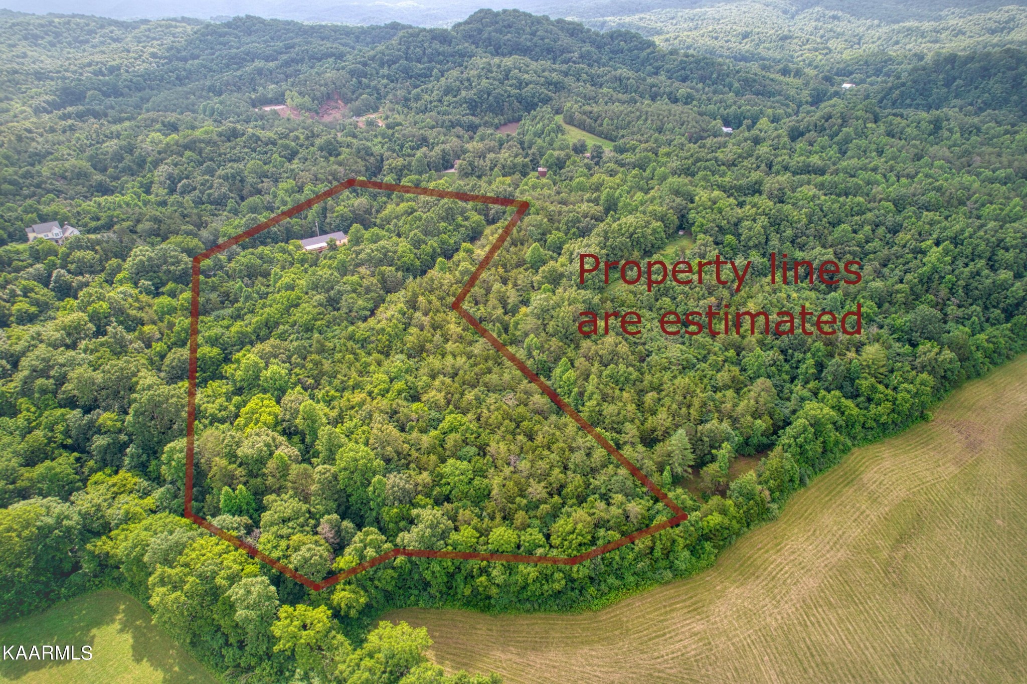1463 A R Davis Road Seymour, TN 37865 - Photo 41 of 43