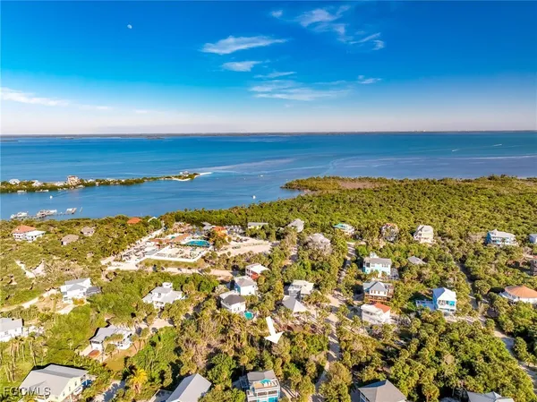 a view of a garden with plants