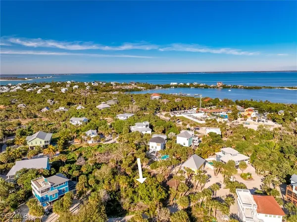 a view of a pathway of a yard