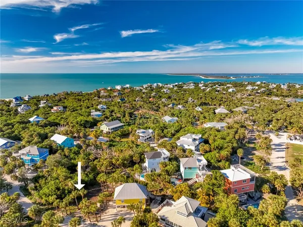a view of a bunch of trees