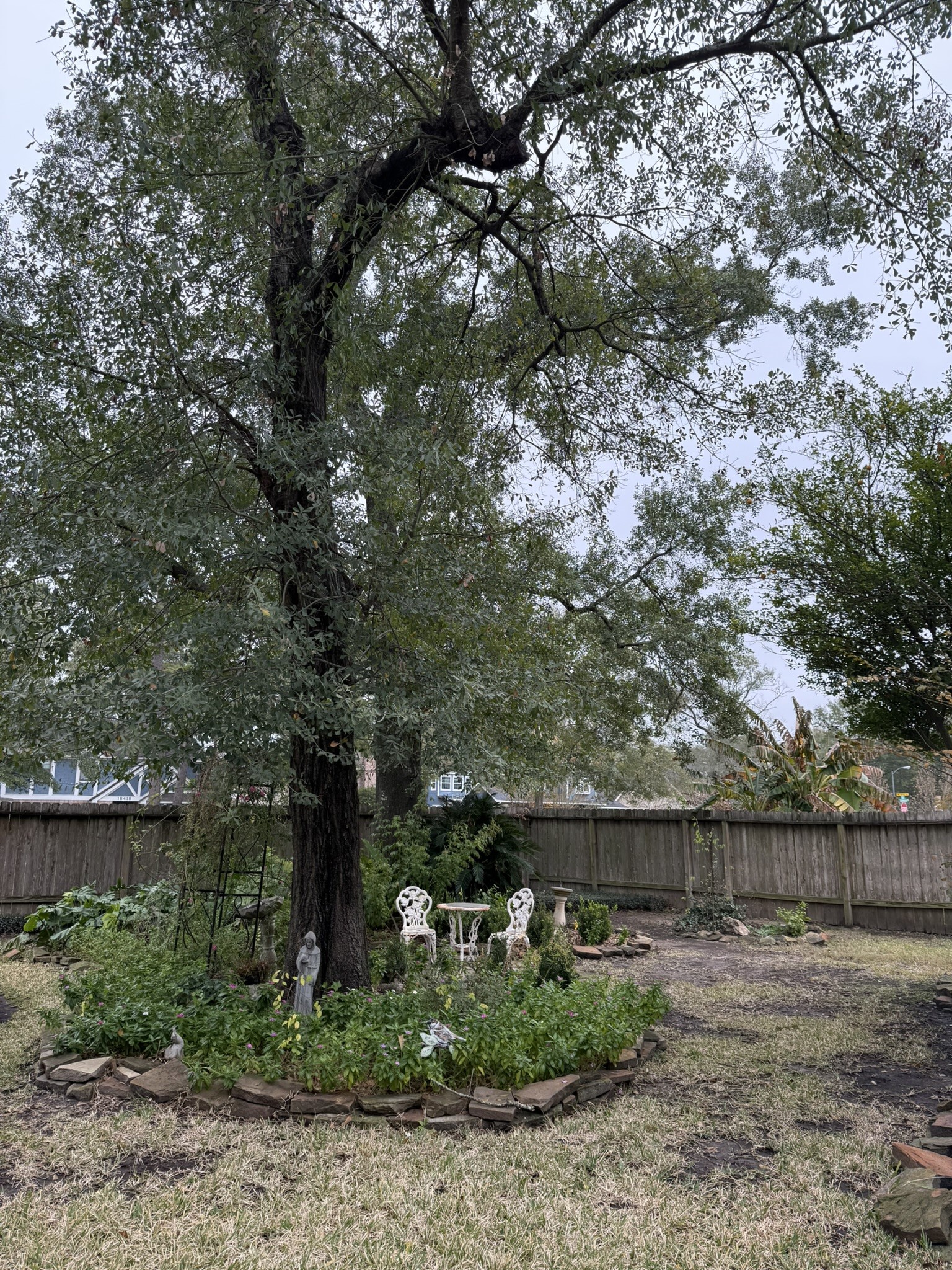 3603 Shipman Lane Spring, TX 77388 - Photo 38 of 48