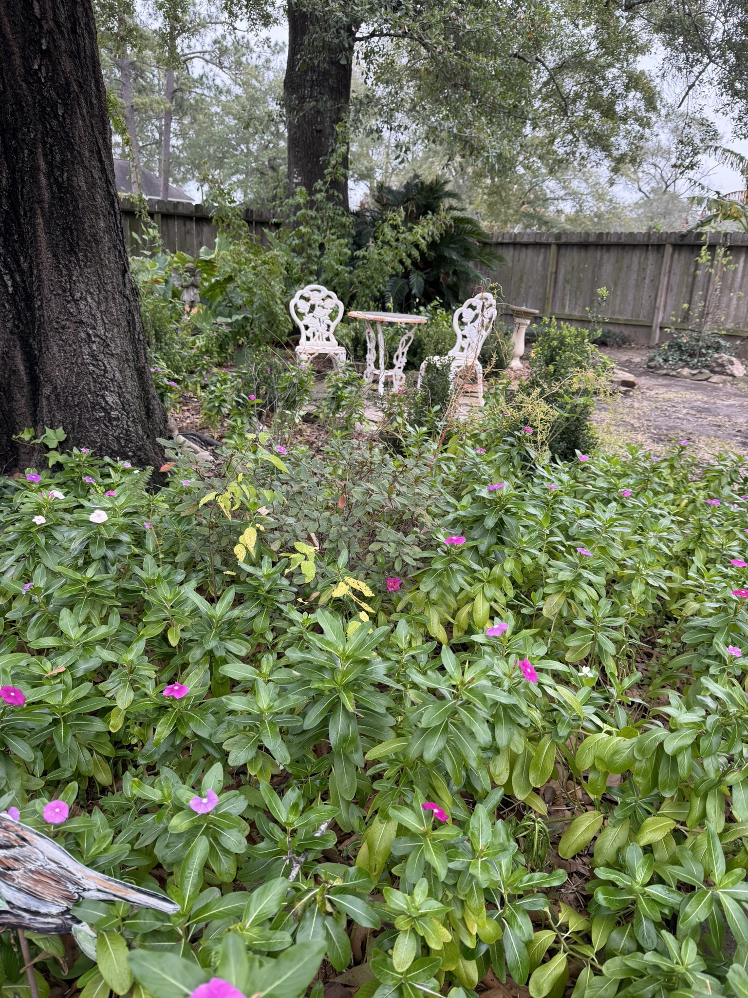 3603 Shipman Lane Spring, TX 77388 - Photo 39 of 48