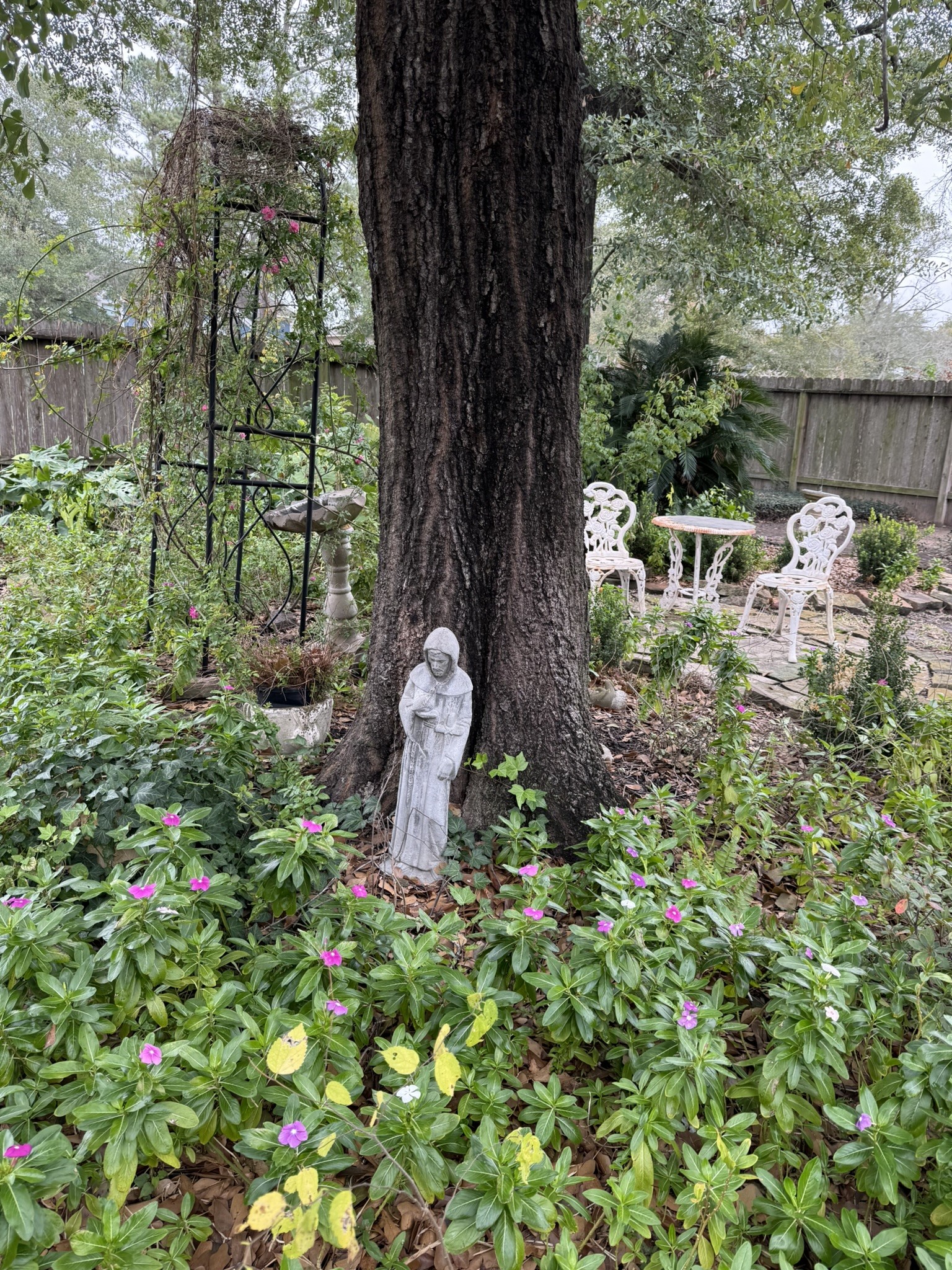 3603 Shipman Lane Spring, TX 77388 - Photo 40 of 48