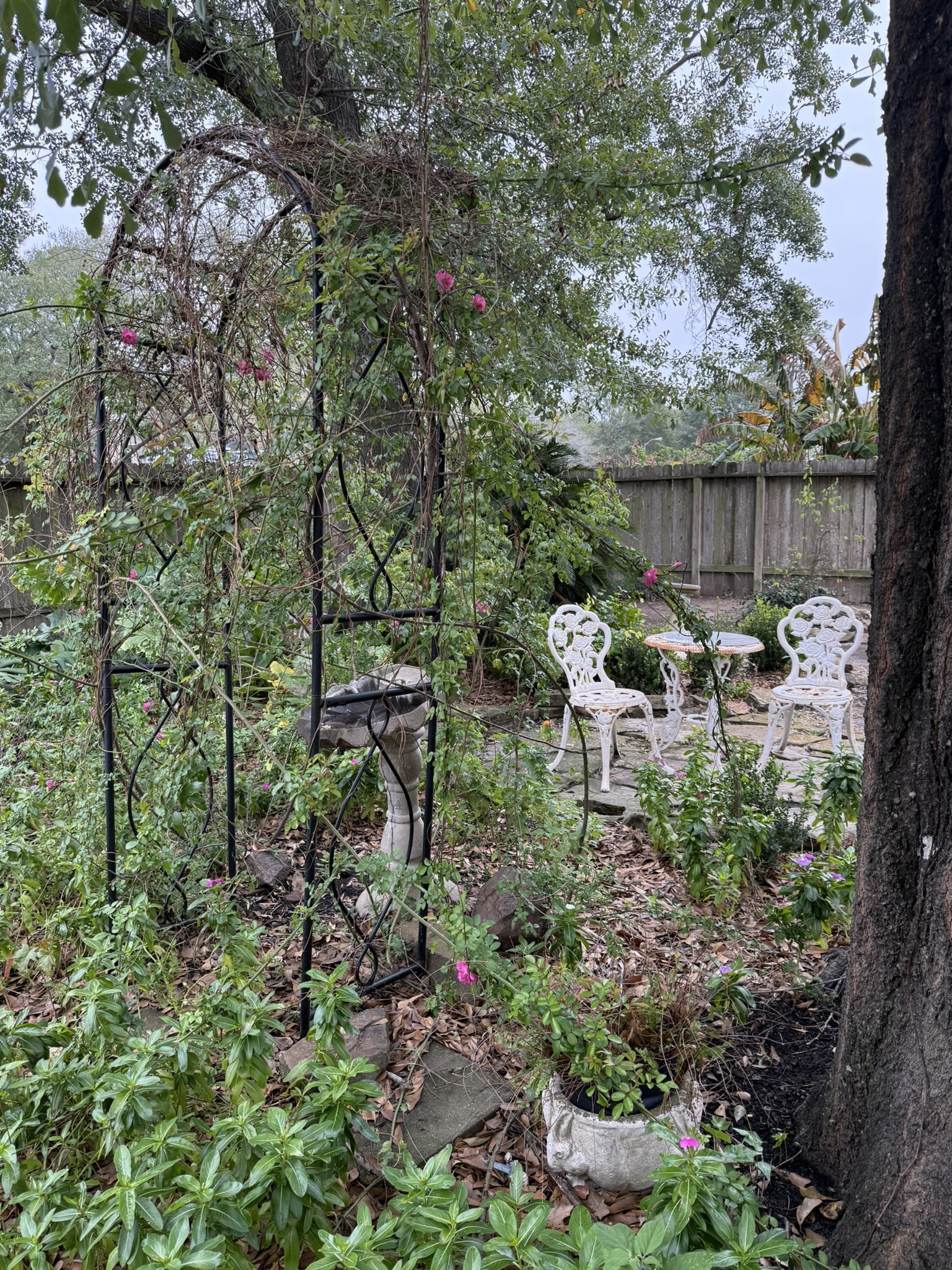 3603 Shipman Lane Spring, TX 77388 - Photo 41 of 48