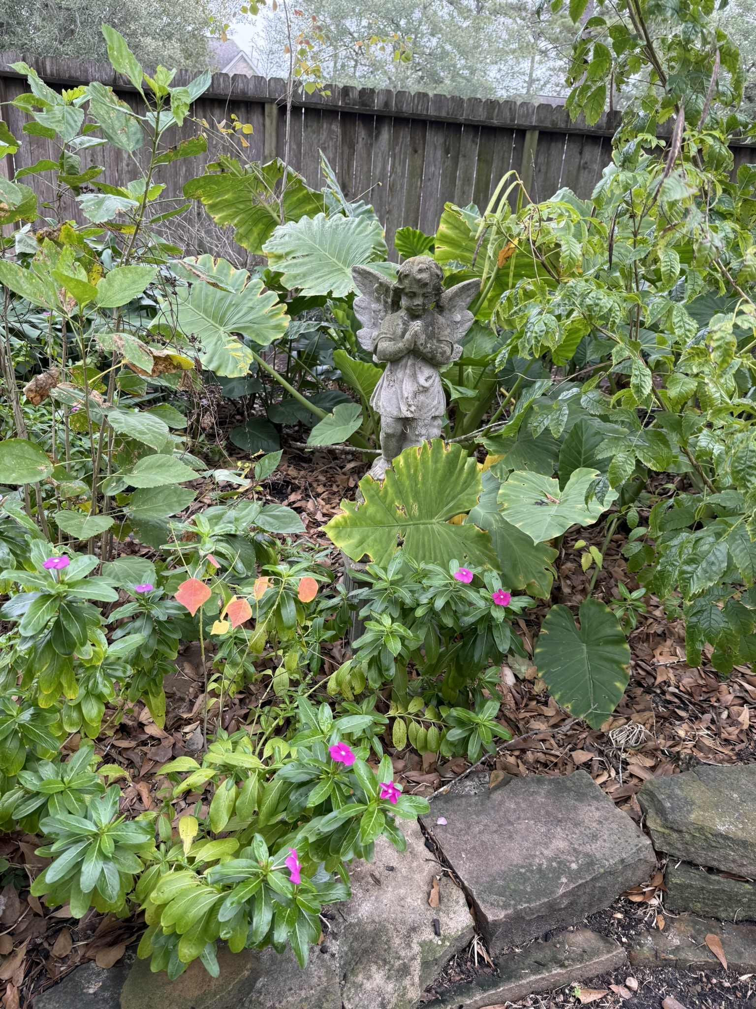 3603 Shipman Lane Spring, TX 77388 - Photo 42 of 48