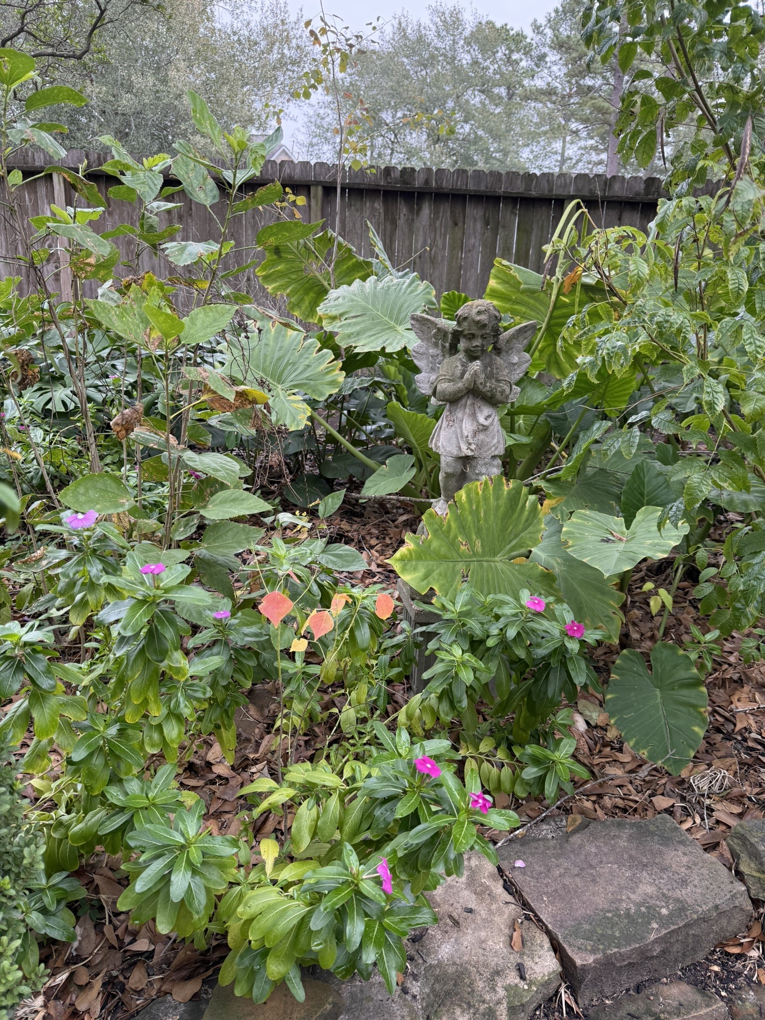 3603 Shipman Lane Spring, TX 77388 - Photo 43 of 48