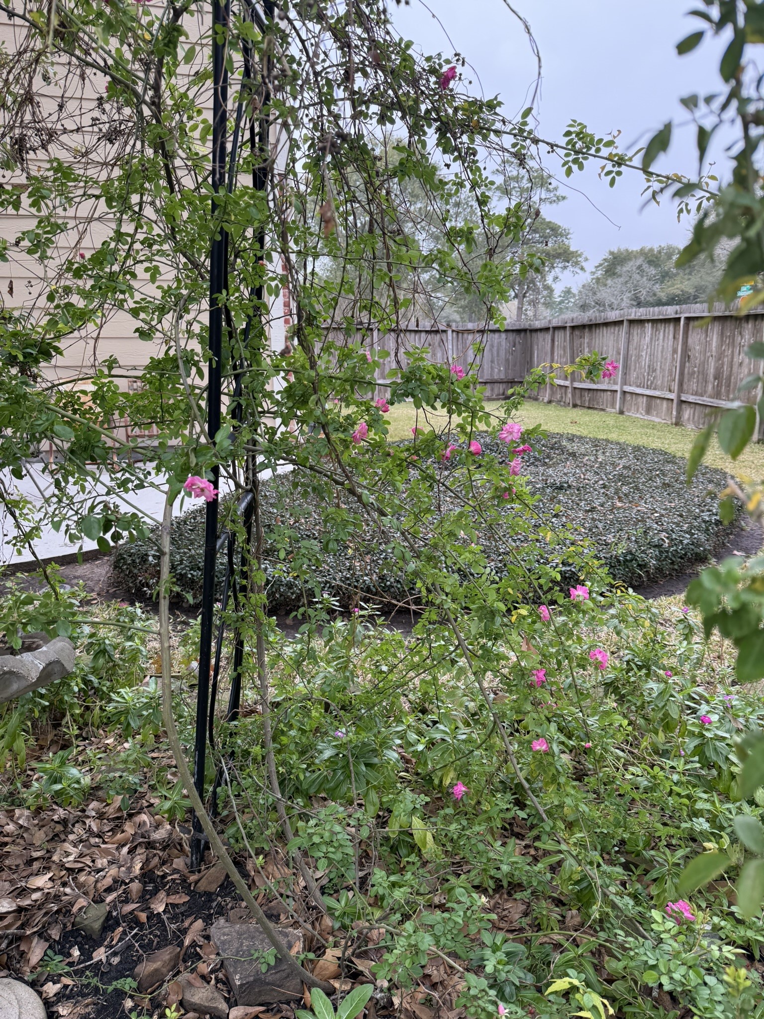 3603 Shipman Lane Spring, TX 77388 - Photo 46 of 48