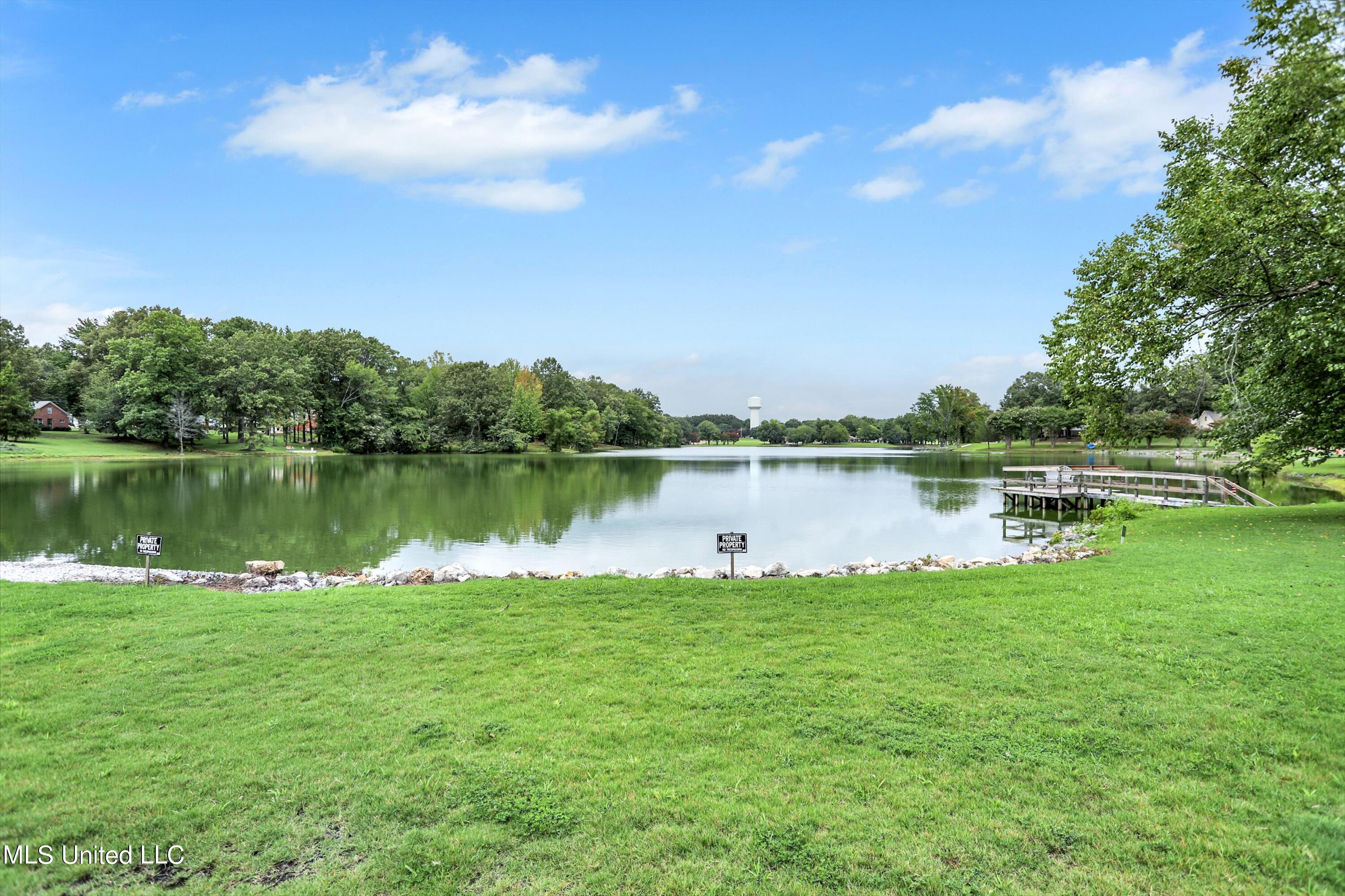 6540 Forest Grove Lane Walls, MS 38680 - Photo 29 of 29 31-266A3265