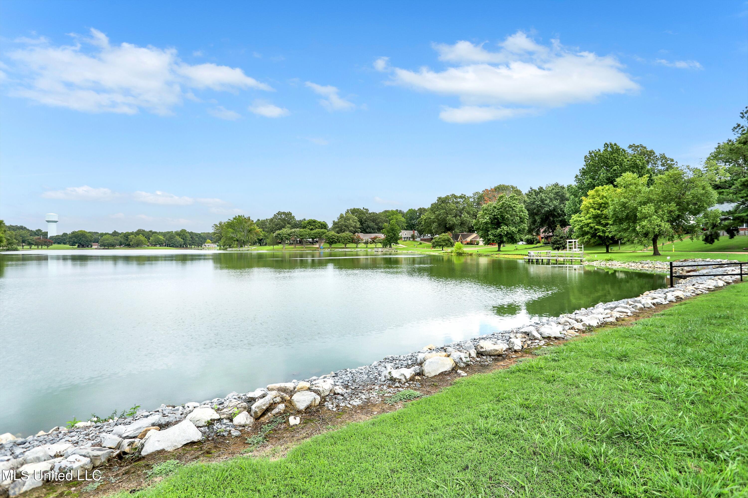 6540 Forest Grove Lane Walls, MS 38680 - Photo 3 of 29 03-266A3262