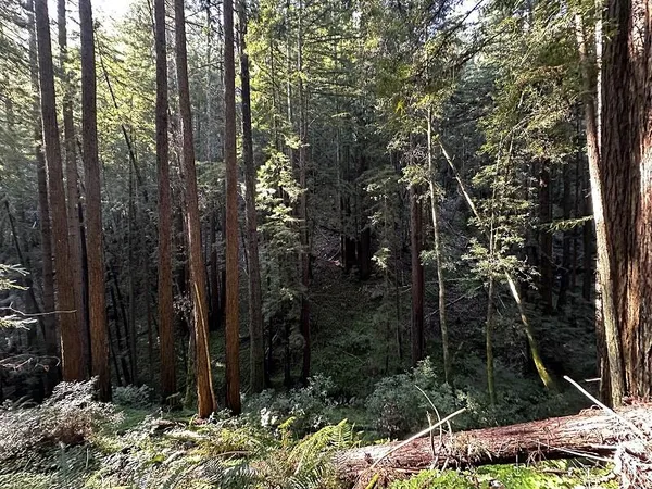 $129,000 | 0 Warren Drive, Santa Cruz, CA 95060