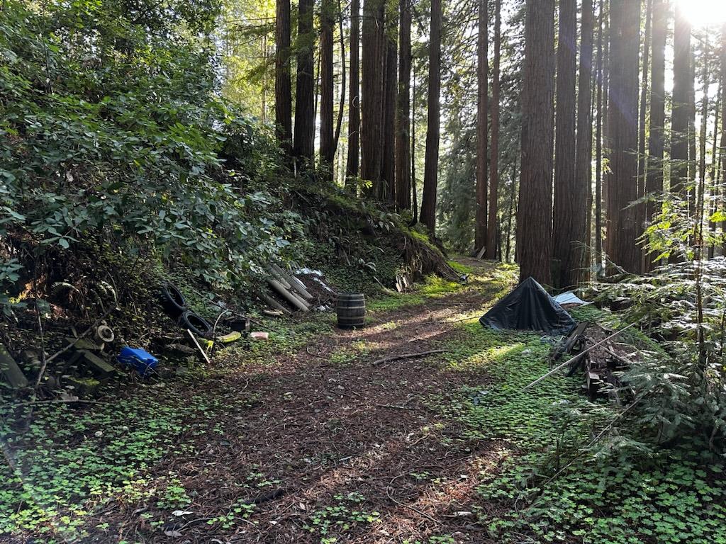 0 Warren Drive Santa Cruz, CA 95060 - Photo 2 of 17 a view of yard