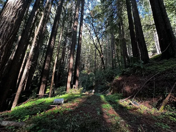 $129,000 | 0 Warren Drive, Santa Cruz, CA 95060