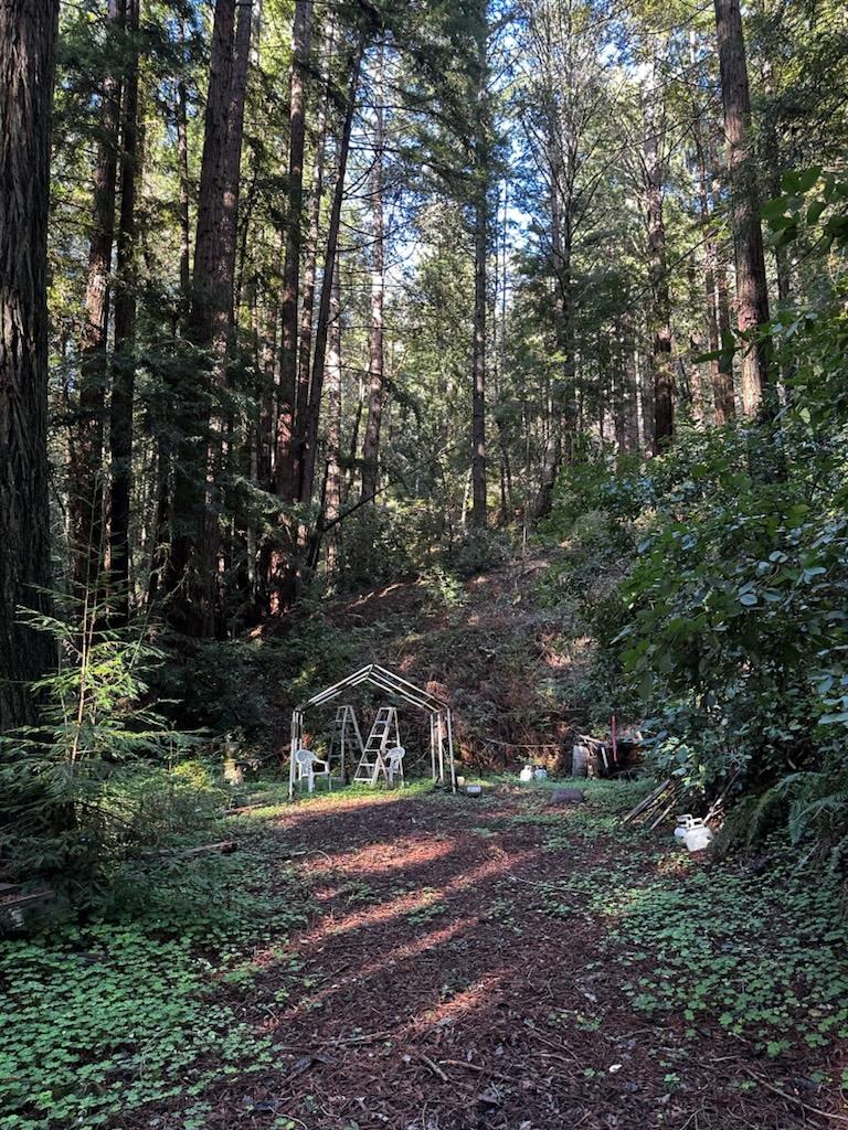 0 Warren Drive Santa Cruz, CA 95060 - Photo 4 of 17 a view of a yard with plants and trees