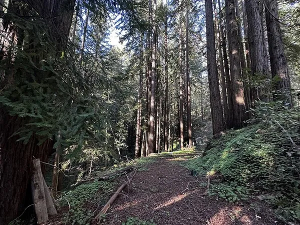 $129,000 | 0 Warren Drive, Santa Cruz, CA 95060