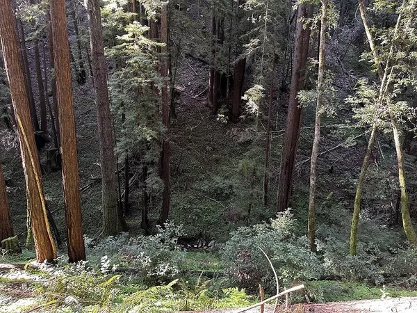 $129,000 | 0 Warren Drive, Santa Cruz, CA 95060