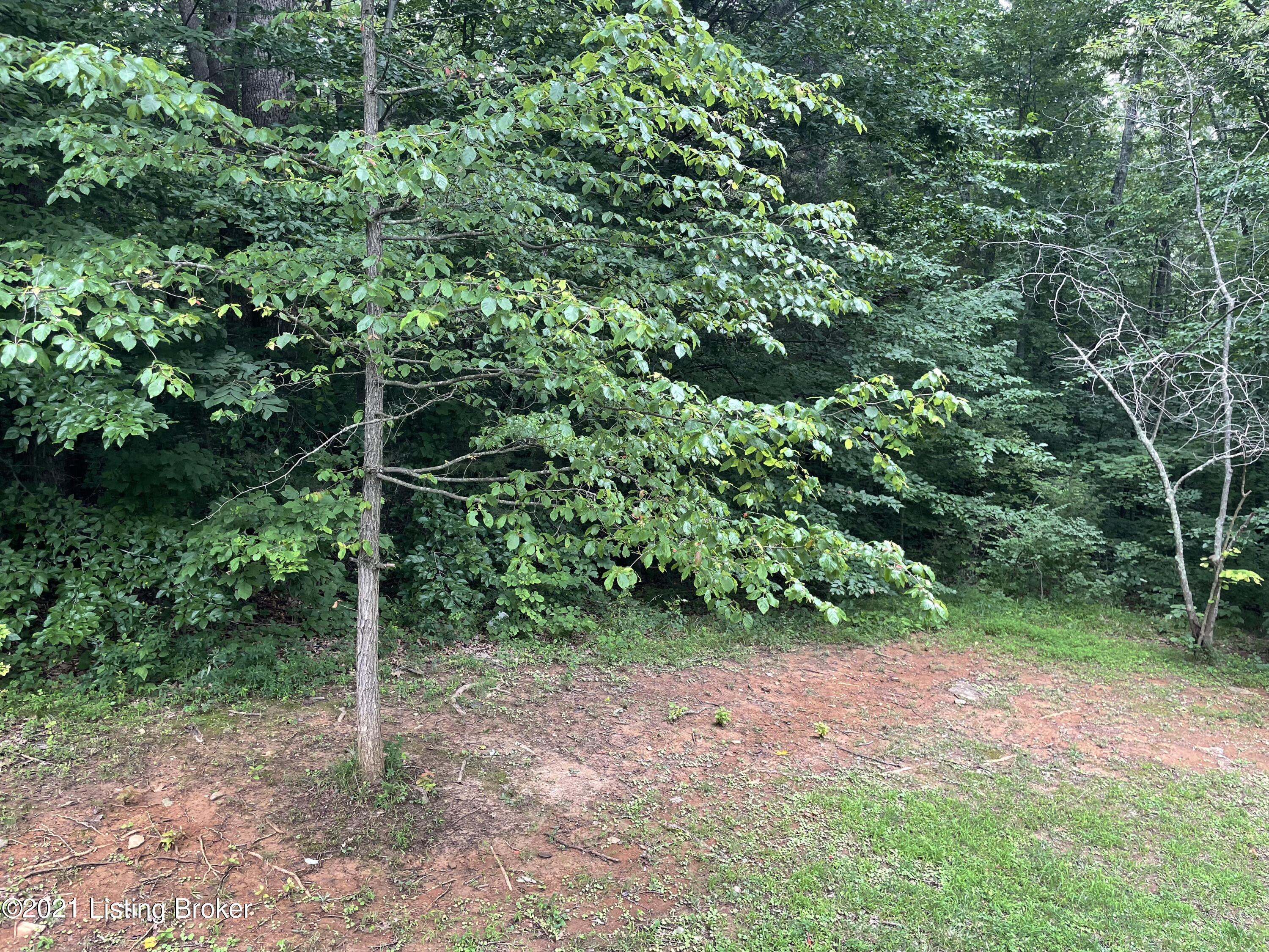 530 North Ridge Road Elizabethtown, KY 42701 - Photo 11 of 23 IMG_2208
