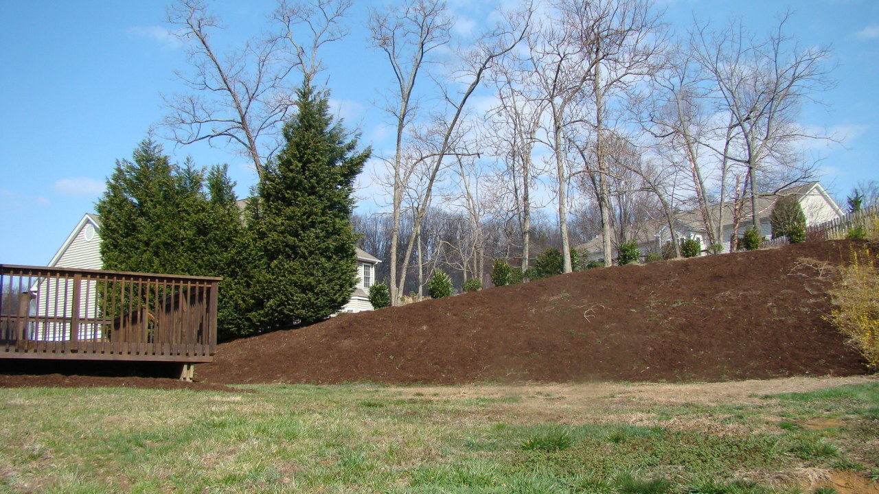 1401 Fieldgate Road Salem, VA 24153 - Photo 20 of 26 Backyard