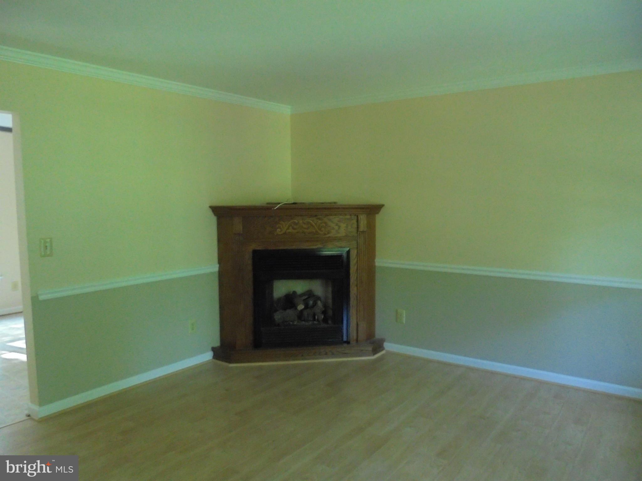 18199 Monitor Road Culpeper, VA 22701 - Photo 11 of 28 gas fireplace