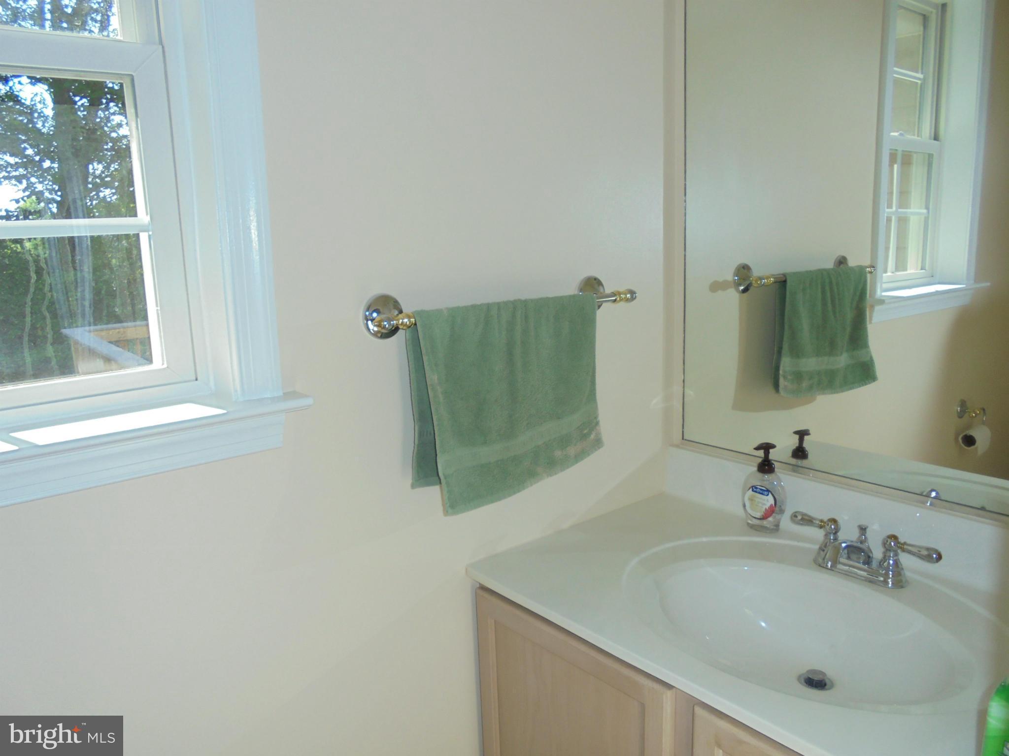 18199 Monitor Road Culpeper, VA 22701 - Photo 10 of 28 Bath