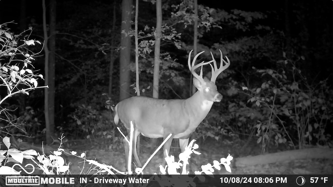 2275 West Burma Road Gosport, IN 47433 - Photo 84 of 109 Gallery Image 84