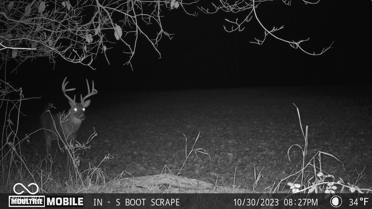 2275 West Burma Road Gosport, IN 47433 - Photo 85 of 109 Gallery Image 85