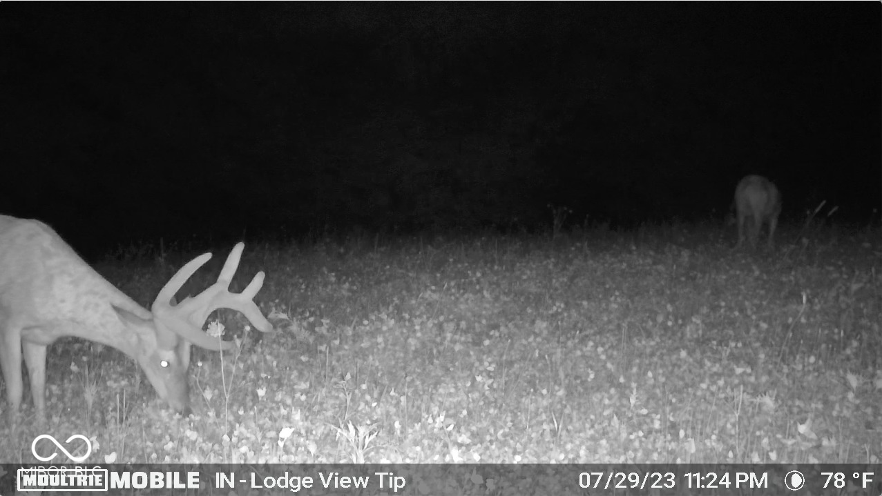 2275 West Burma Road Gosport, IN 47433 - Photo 90 of 109 Gallery Image 90
