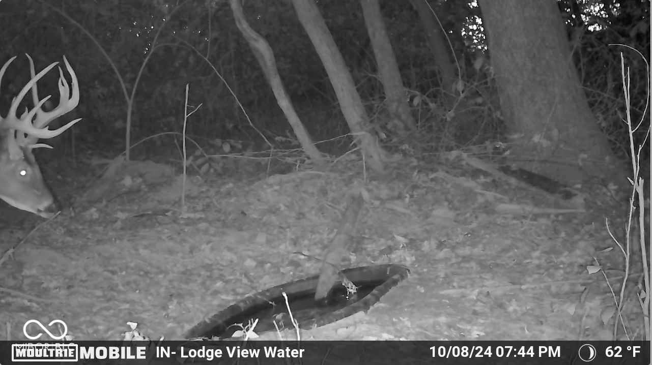2275 West Burma Road Gosport, IN 47433 - Photo 10 of 109 Gallery Image 10