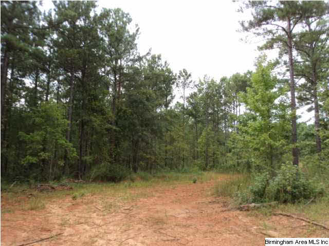 22 Highway Ac Al, Unit 89 Daviston, AL 36256 - Photo 5 of 10