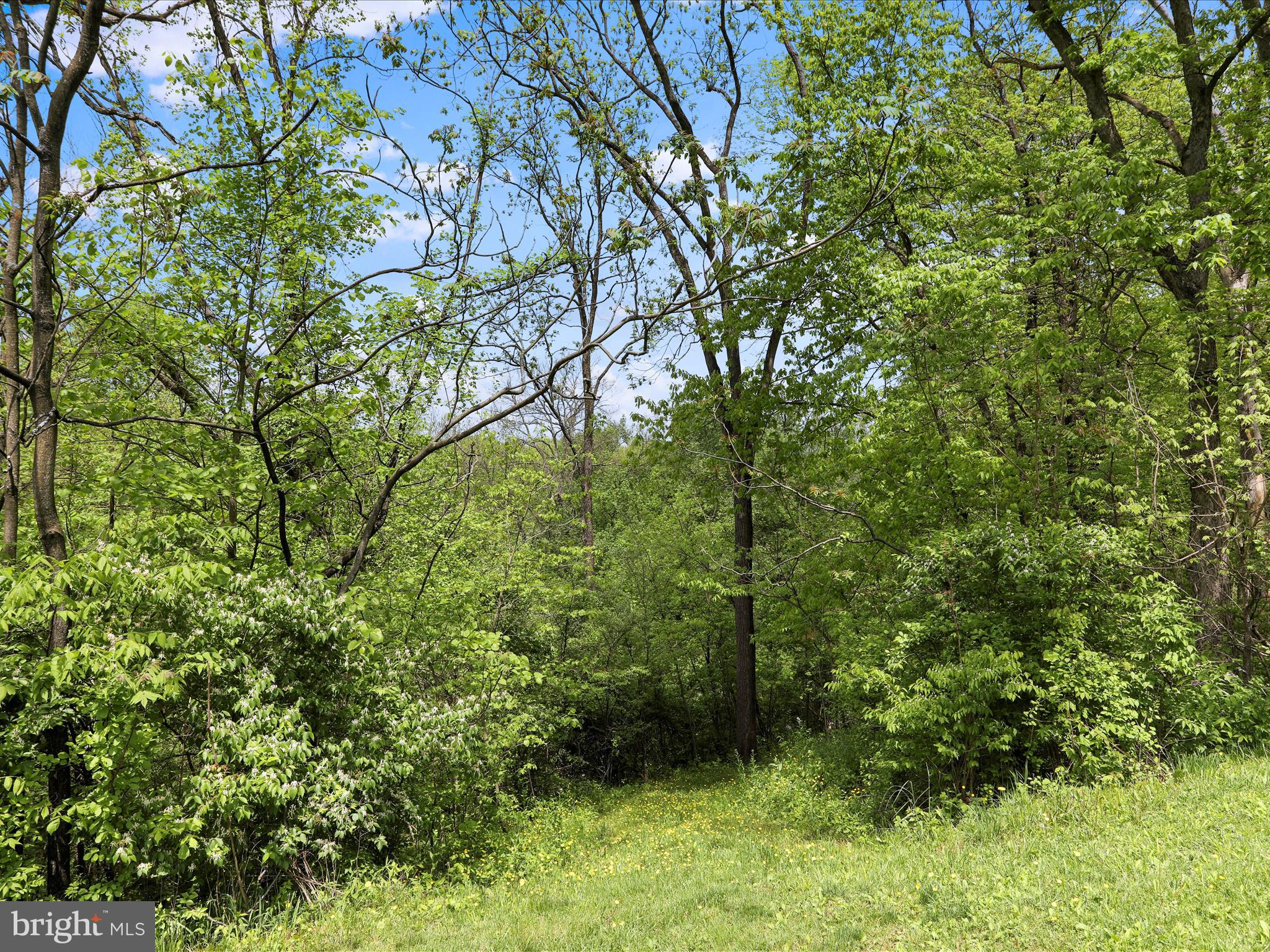 5133 Swope Road Chambersburg, PA 17202 - Photo 44 of 61 Gallery Image 44